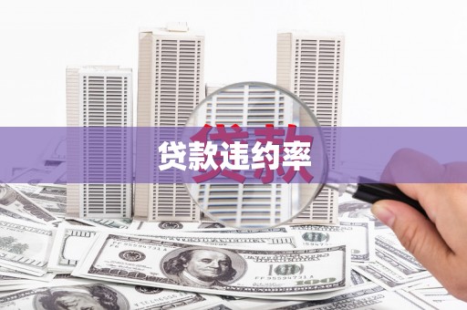 云霄贷款违约率