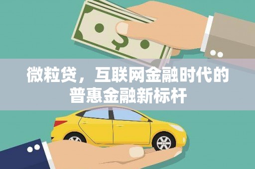 云霄微粒贷，互联网金融时代的普惠金融新标杆