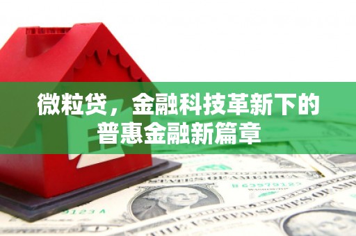 云霄微粒贷，金融科技革新下的普惠金融新篇章
