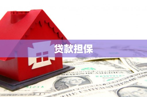 云霄贷款担保