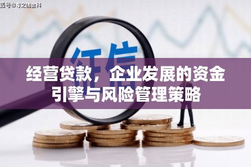 云霄经营贷款，企业发展的资金引擎与风险管理策略