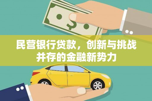 云霄民营银行贷款，创新与挑战并存的金融新势力