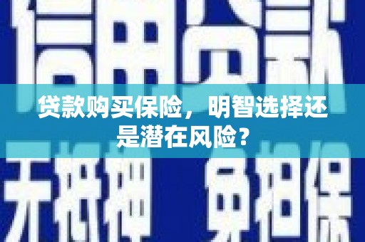 云霄贷款购买保险，明智选择还是潜在风险？