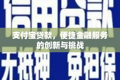 云霄支付宝贷款，便捷金融服务的创新与挑战