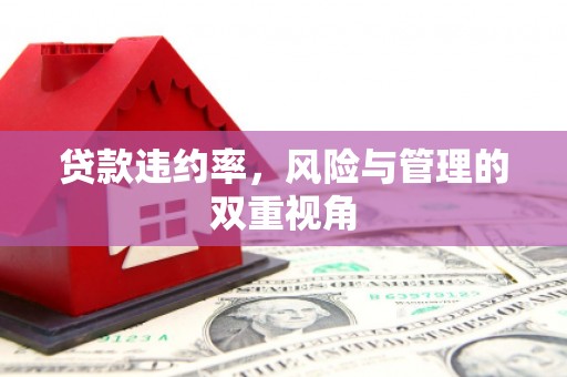 云霄贷款违约率，风险与管理的双重视角