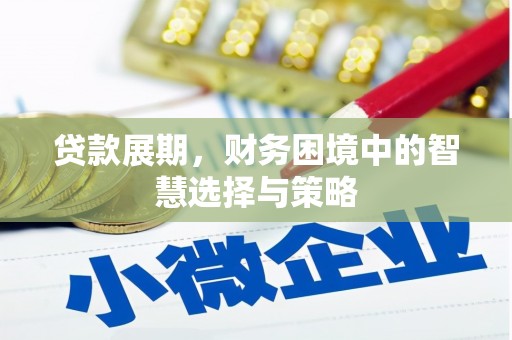 云霄贷款展期，财务困境中的智慧选择与策略
