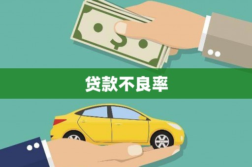 云霄贷款不良率