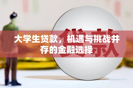 云霄大学生贷款，机遇与挑战并存的金融选择