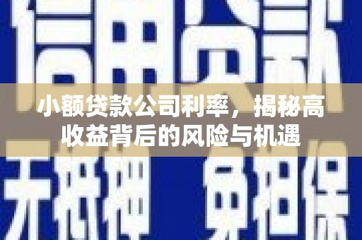 云霄小额贷款公司利率，揭秘高收益背后的风险与机遇