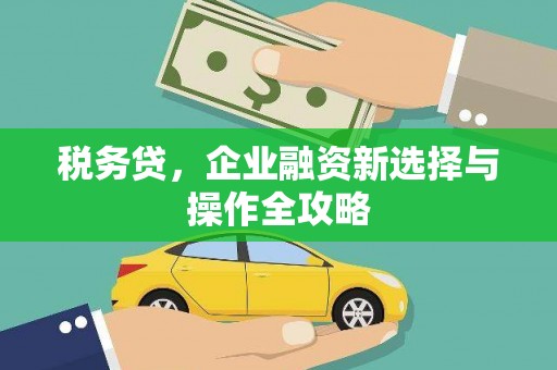 云霄税务贷，企业融资新选择与操作全攻略