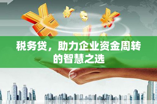 云霄税务贷，助力企业资金周转的智慧之选