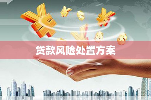 云霄贷款风险处置方案
