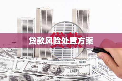 云霄贷款风险处置方案