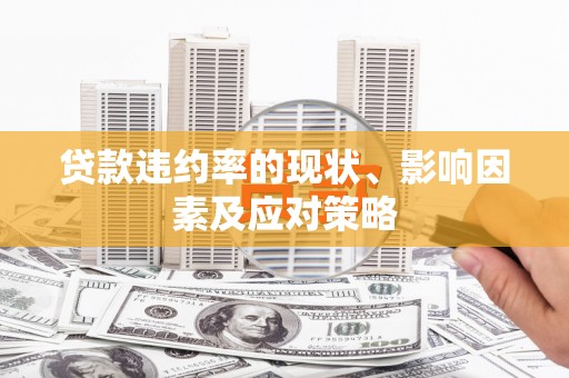 云霄贷款违约率的现状、影响因素及应对策略
