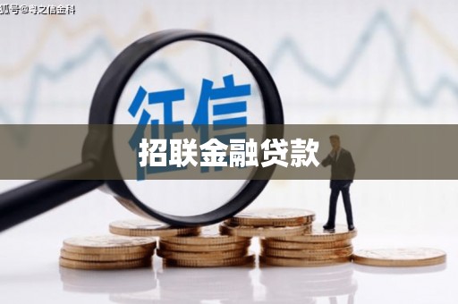 云霄招联金融贷款
