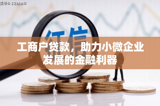 云霄工商户贷款，助力小微企业发展的金融利器