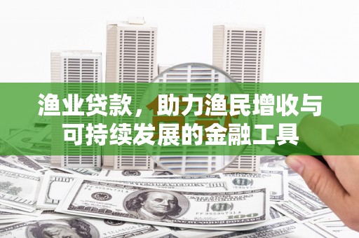 云霄渔业贷款，助力渔民增收与可持续发展的金融工具