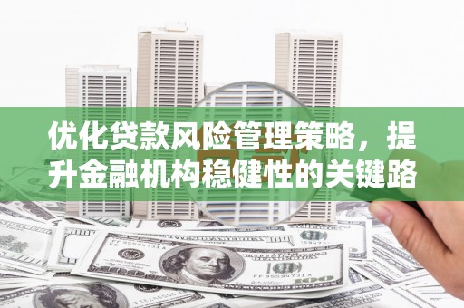 云霄优化贷款风险管理策略，提升金融机构稳健性的关键路径