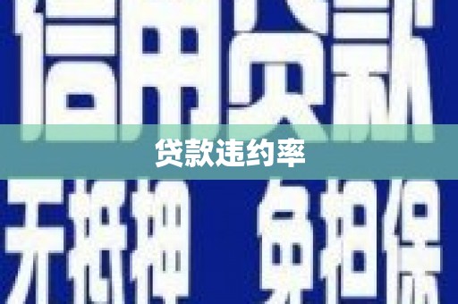 云霄贷款违约率