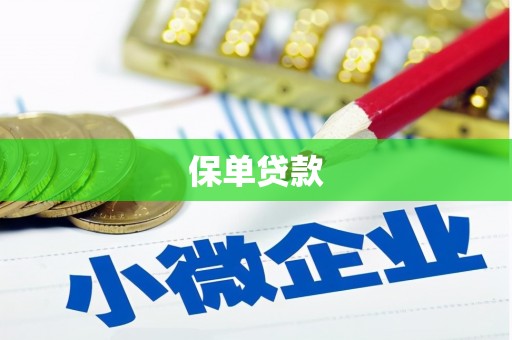云霄保单贷款