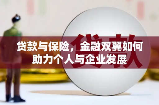 云霄贷款与保险，金融双翼如何助力个人与企业发展