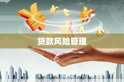 云霄贷款风险管理