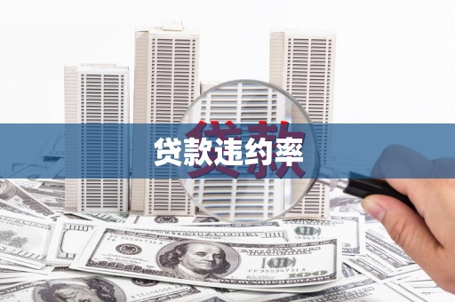 云霄贷款违约率