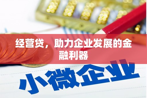 云霄经营贷，助力企业发展的金融利器