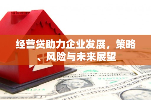 云霄经营贷助力企业发展，策略、风险与未来展望