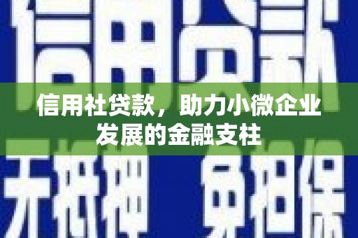云霄信用社贷款，助力小微企业发展的金融支柱