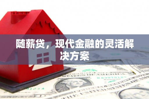 云霄随薪贷，现代金融的灵活解决方案