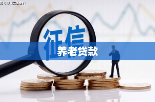 云霄养老贷款