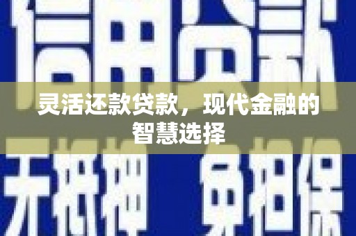云霄灵活还款贷款，现代金融的智慧选择