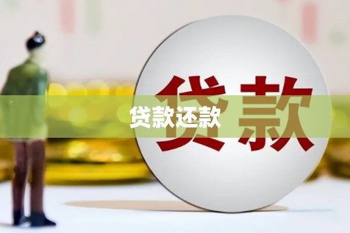 云霄贷款还款