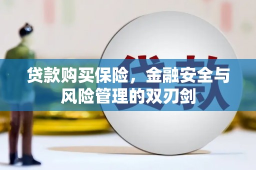 云霄贷款购买保险，金融安全与风险管理的双刃剑
