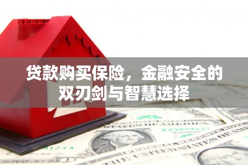 云霄贷款购买保险，金融安全的双刃剑与智慧选择