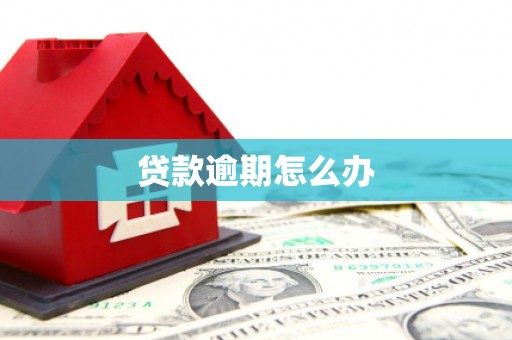 云霄贷款逾期怎么办