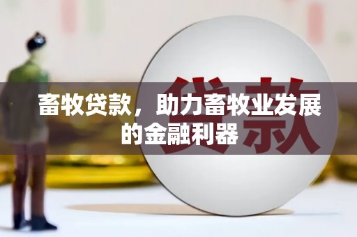 云霄畜牧贷款，助力畜牧业发展的金融利器