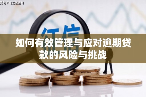 云霄如何有效管理与应对逾期贷款的风险与挑战