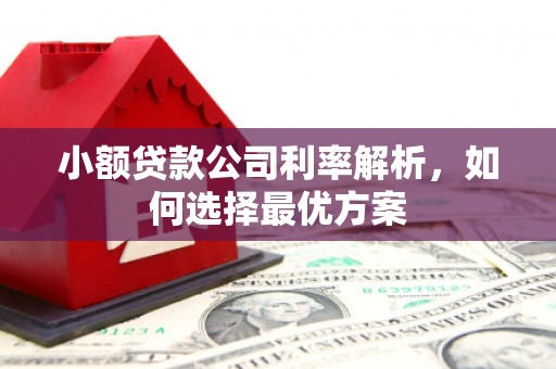 云霄小额贷款公司利率解析，如何选择最优方案
