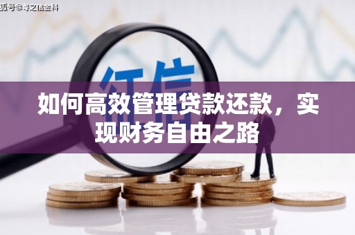 云霄如何高效管理贷款还款，实现财务自由之路