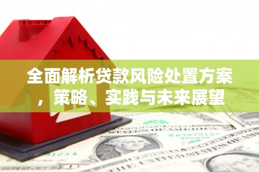 云霄全面解析贷款风险处置方案，策略、实践与未来展望