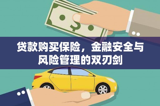 云霄贷款购买保险，金融安全与风险管理的双刃剑