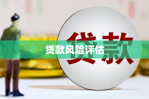 云霄贷款风险评估
