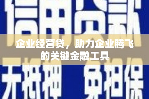 云霄企业经营贷，助力企业腾飞的关键金融工具
