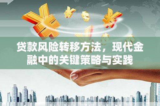 云霄贷款风险转移方法，现代金融中的关键策略与实践
