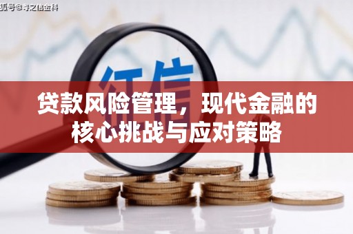 云霄贷款风险管理，现代金融的核心挑战与应对策略