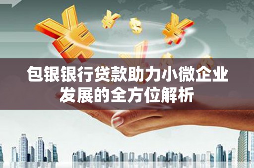 云霄包银银行贷款助力小微企业发展的全方位解析