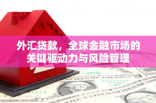 云霄外汇贷款，全球金融市场的关键驱动力与风险管理