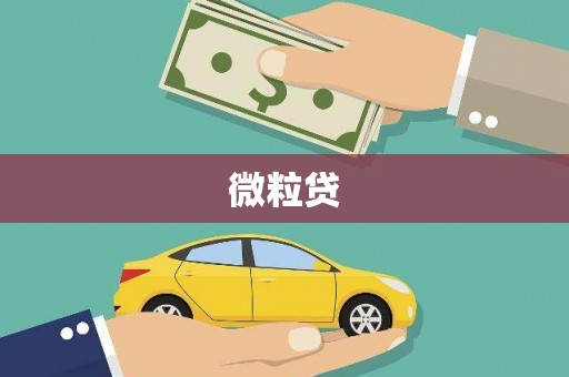 云霄微粒贷